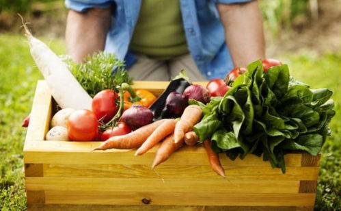 不被限制的孩子，飲食更自律 日用百貨中的教育智慧